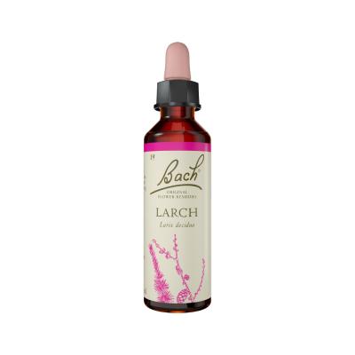 Bach Flower Remedies Larch 20ml